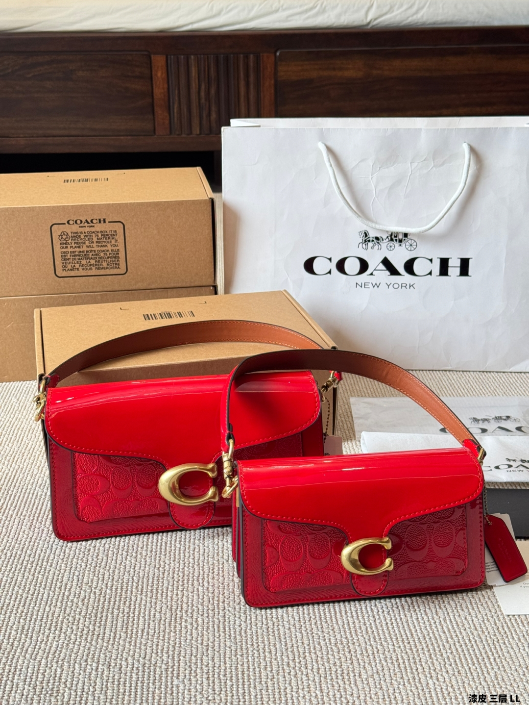 coach bag 283